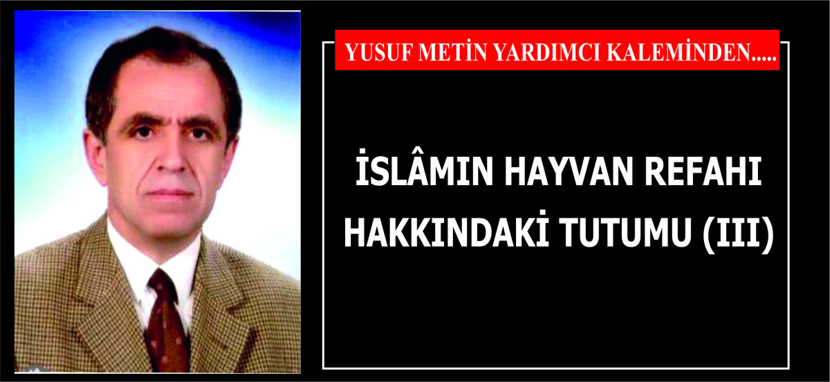 İSLÂMIN HAYVAN REFAHI HAKKINDAKİ TUTUMU (III)