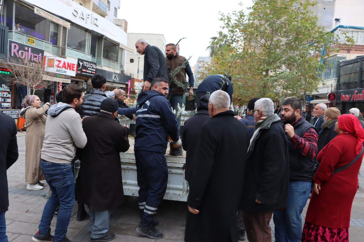 Kızıltepe Belediyesi, Zeytin fidanları dağıttı