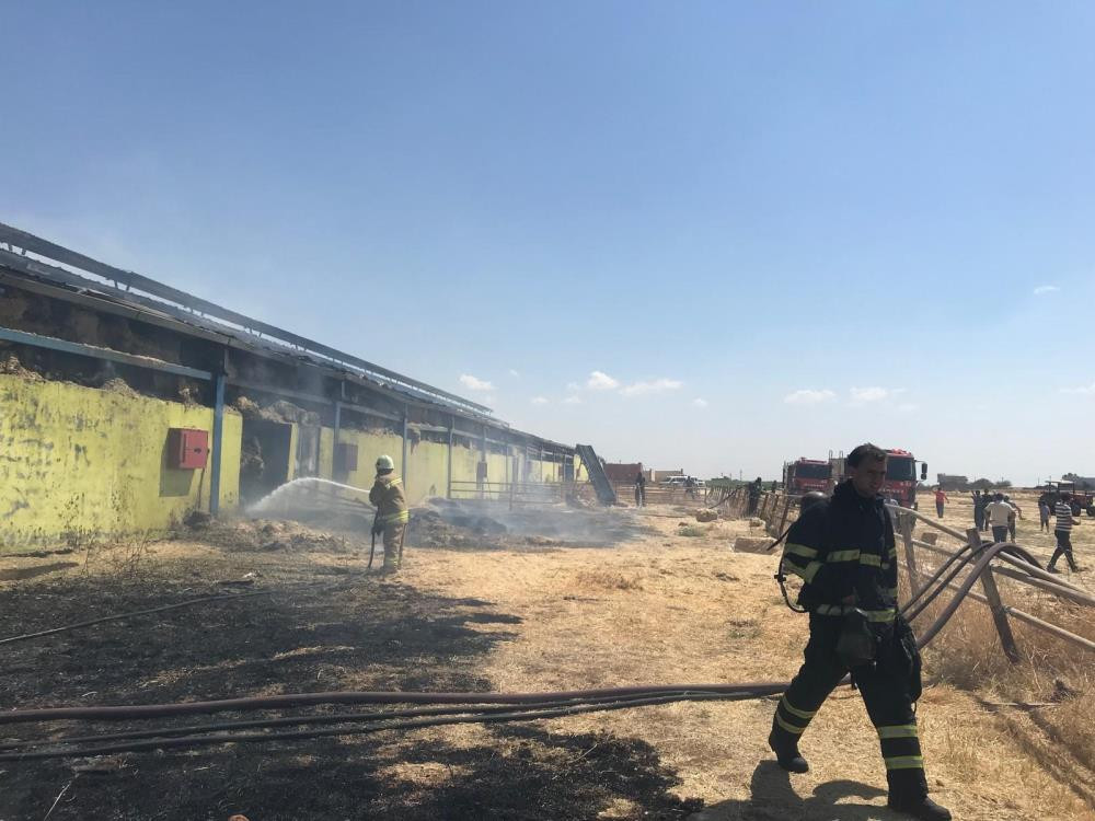 Mardin'de çiftlikte çıkan yangına müdahale devam ediyor