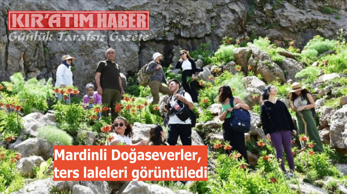 Mardinli Doğaseverler, ters laleleri görüntüledi