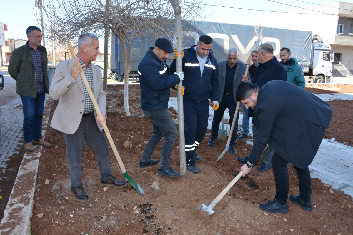 Parkta ağaç dikimi yapıldı